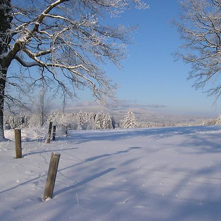 Kristanov Luxury Apartment In Sumava Mountains מראה חיצוני תמונה