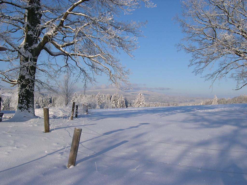 Kristanov Luxury Apartment In Sumava Mountains מראה חיצוני תמונה
